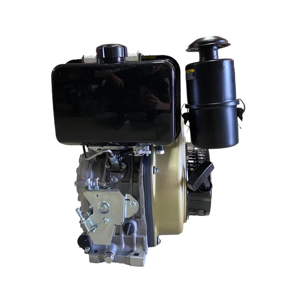Motor motorina 9CP Technoworker (Cu starter)