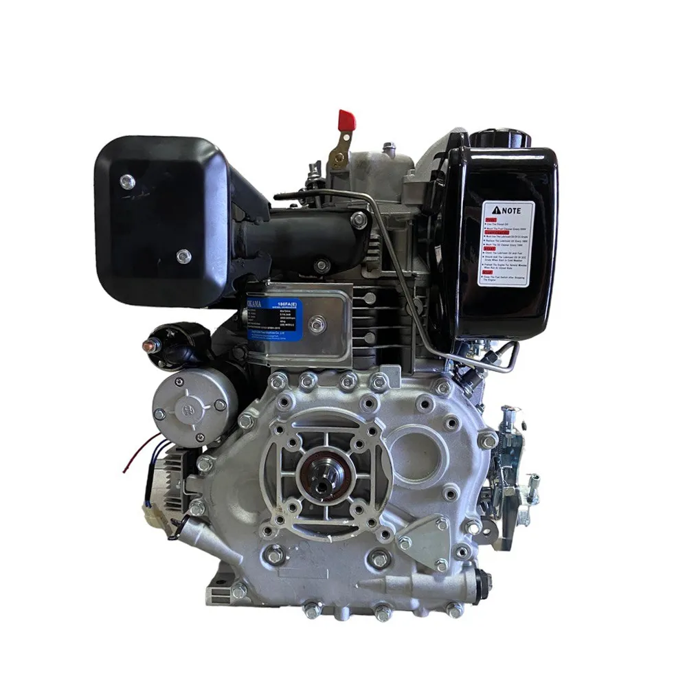 Motor motorina 9CP Technoworker (Cu starter)